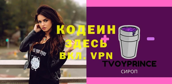 стаф Балахна