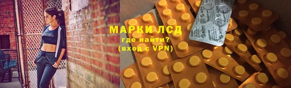 спайс Баксан