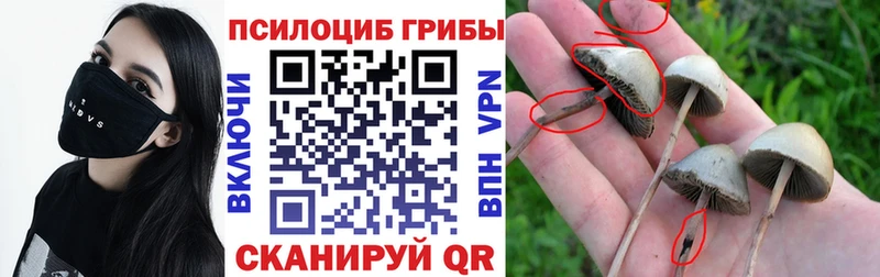 Галлюциногенные грибы мицелий  Каспийск 