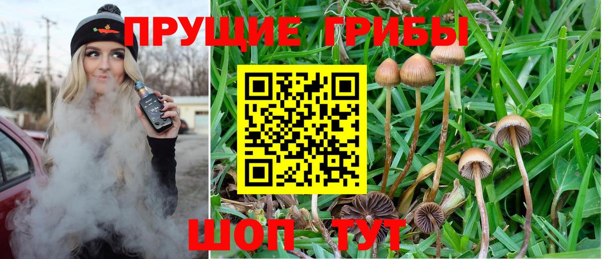 Каспийск  Псилоцибиновые грибы мицелий  Вход с VPN 